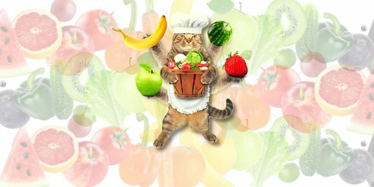 35 Best Fruits and Vegetables For Your Cat (Master Guide)