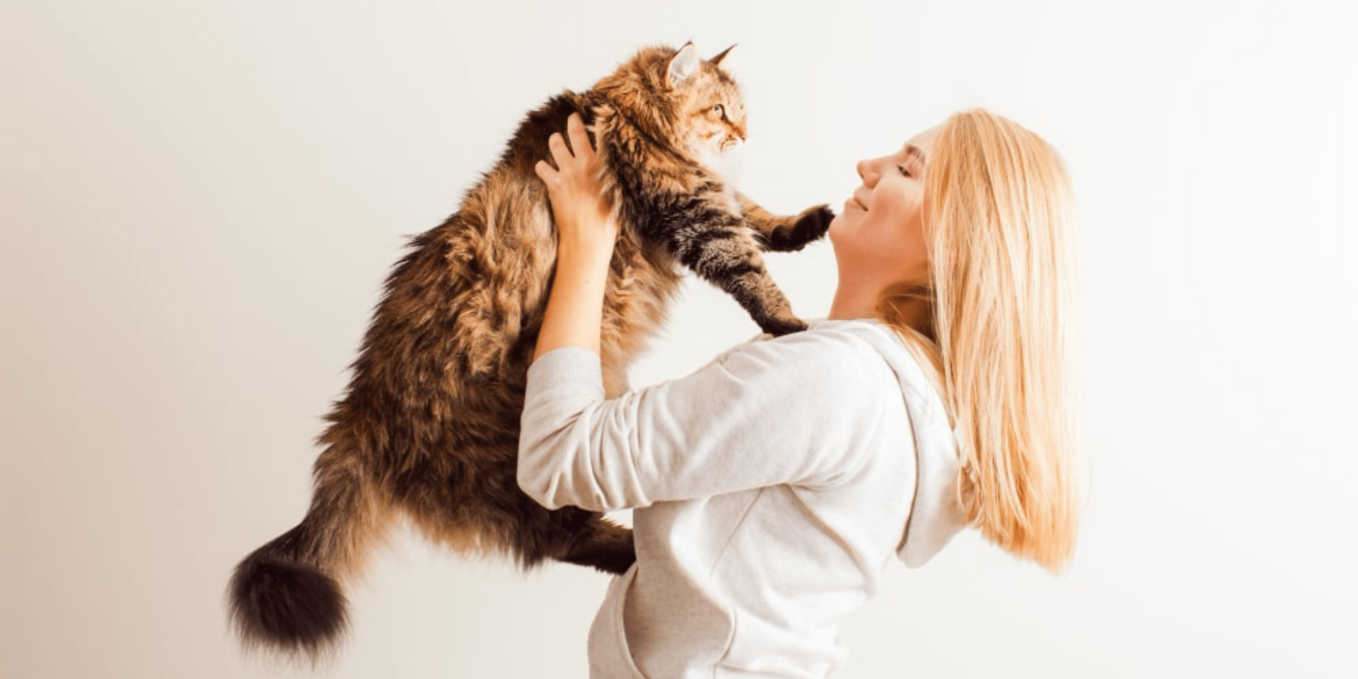 Why Does My Cat Lick My Hair?