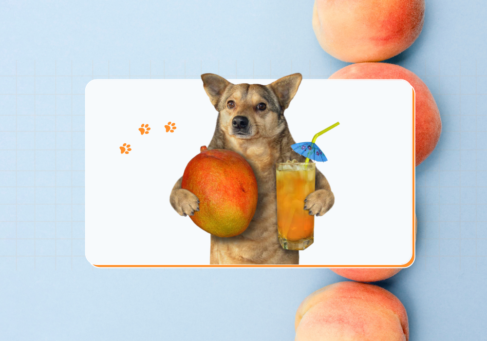 Can Dogs Eat Peaches? (Read This First)