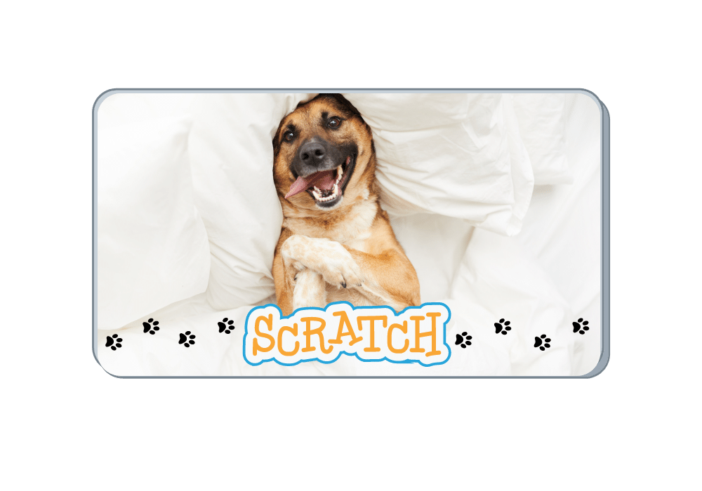 What Causes Dogs to Scratch Their Bedding Before They Go To Sleep?